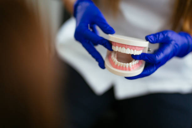  Center Point, AL Holistic Dental Services Pros